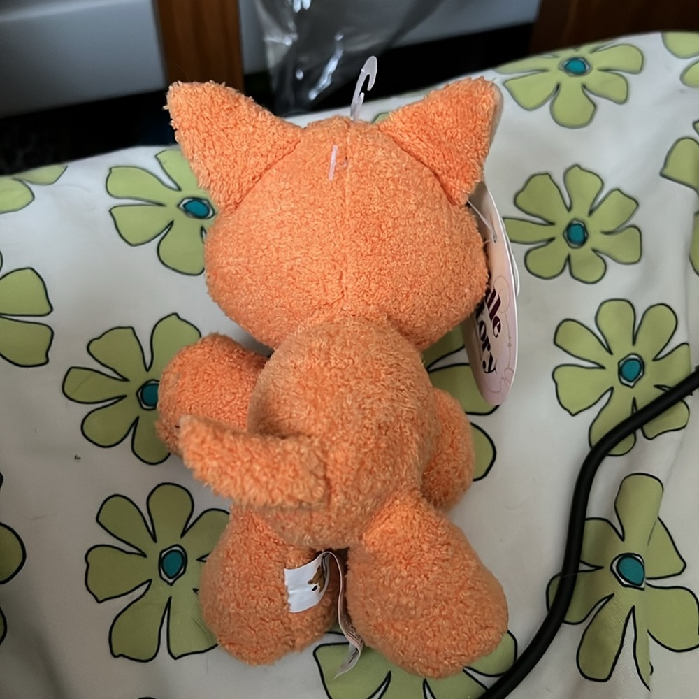 orange cat - Picture 3 of 4